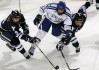 主办方赛事志愿者突发纠纷调解与投诉渠道公布，赛事志愿者服务内容