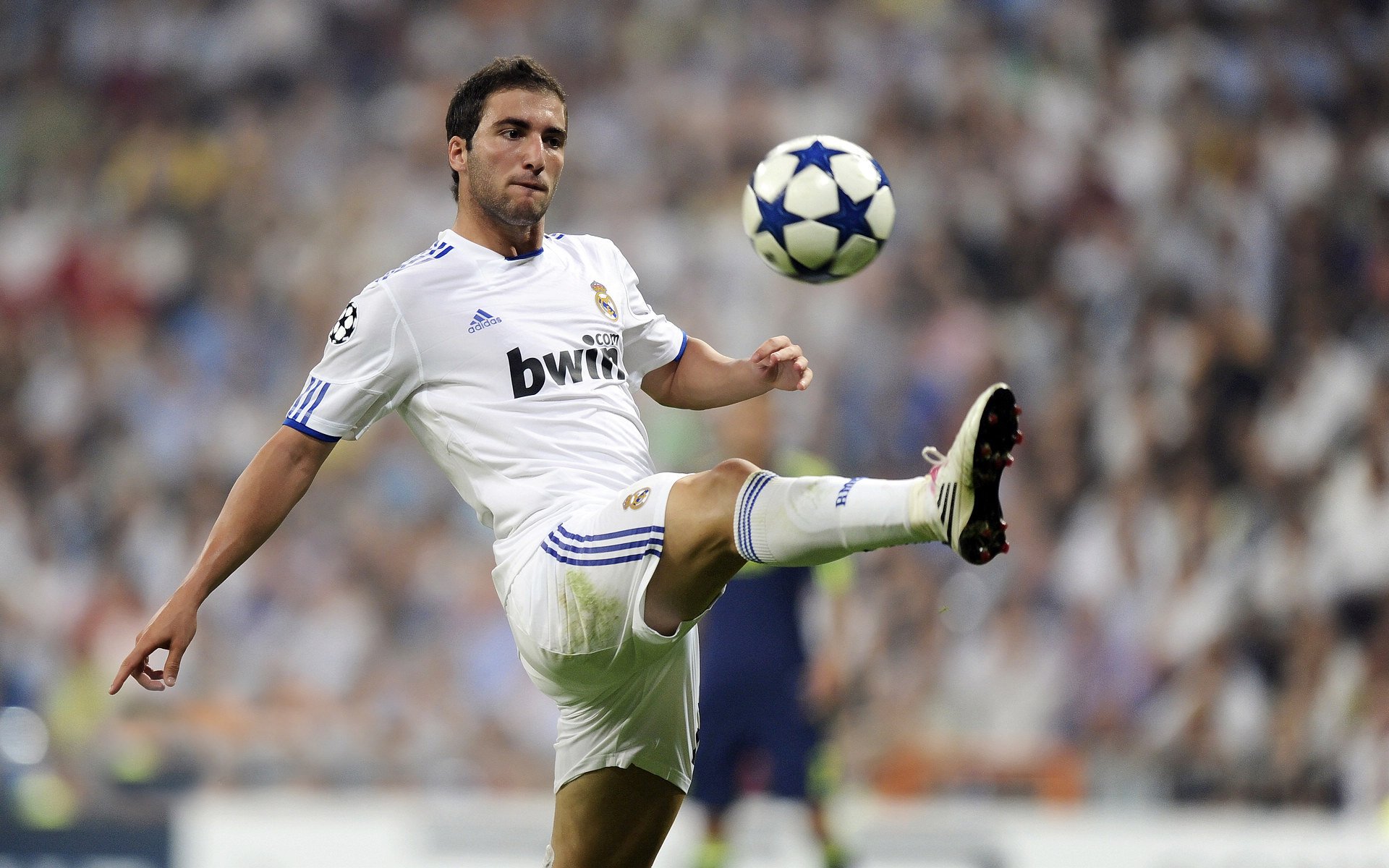 欧洲杯明星球员的成长路径，欧洲杯成名的球星